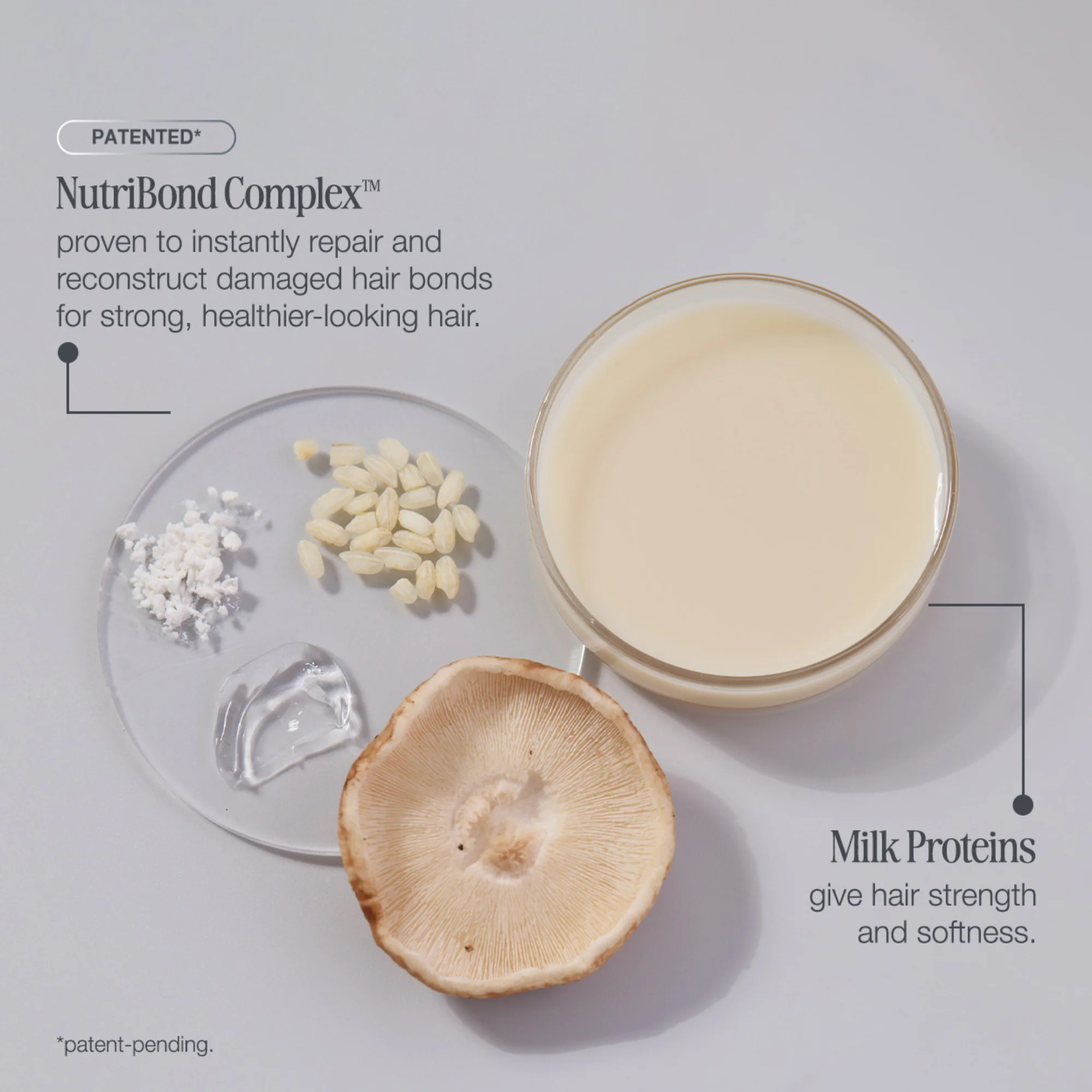 everlasting bonds pre-shampoo treatment - Image 7